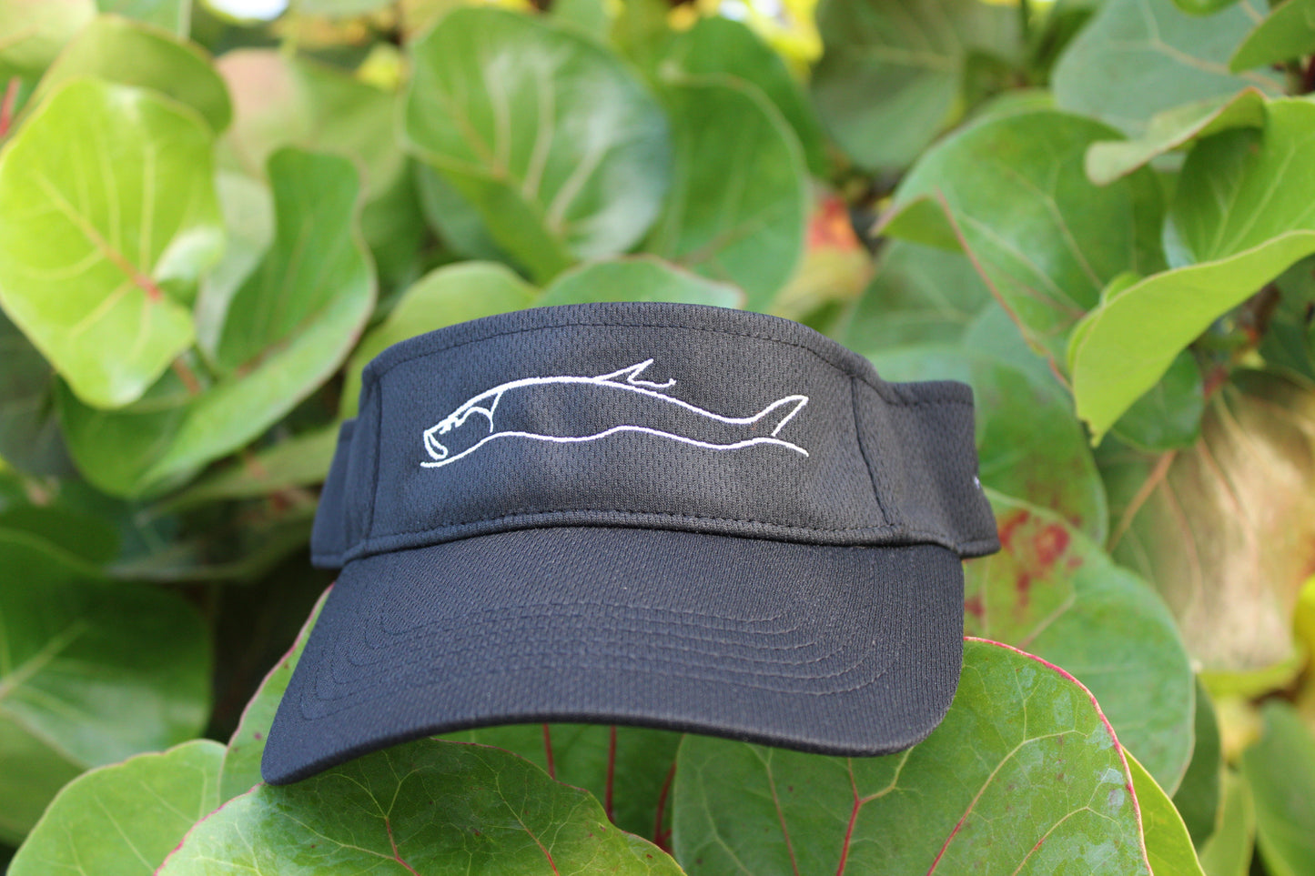 Gause Visor