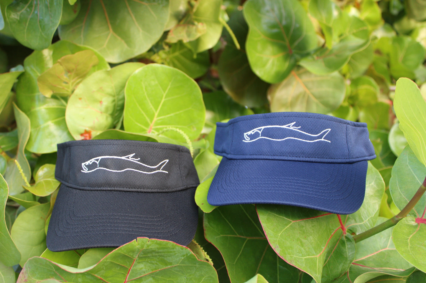 Gause Visor